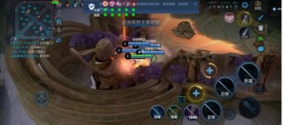 王者荣耀「视距超广角」辅助